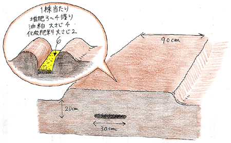 畑の準備