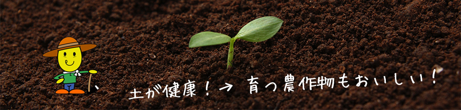 土が健康！→ 育つ農作物もおいしい！