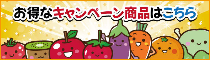 お得なキャンペーン商品はこちら