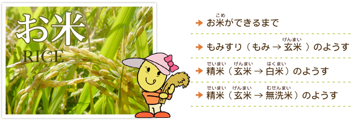 おいしいお米ができるまで