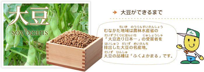 おいしい大豆ができるまで